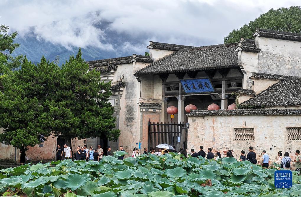 白家乐最稳的打法